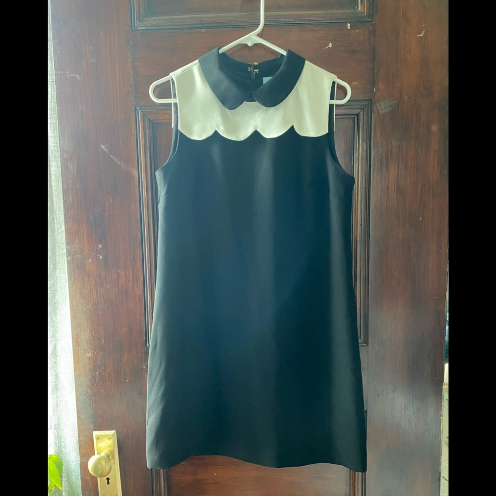 Scalloped Peter Pan Collar Dress